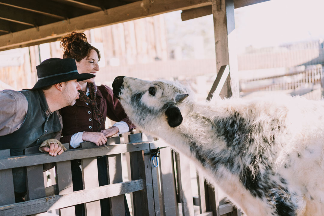 Petting Zoo